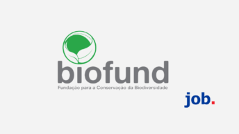 Consultoria Individual para Desenvolver um Protocolo Técnico